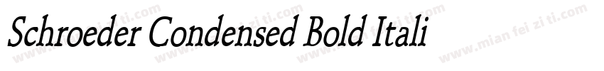Schroeder Condensed Bold Italic字体转换
